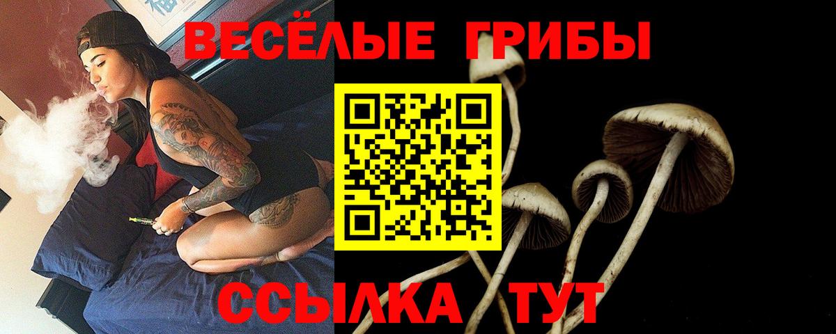 Галлюциногенные грибы Psilocybine cubensis Гусев